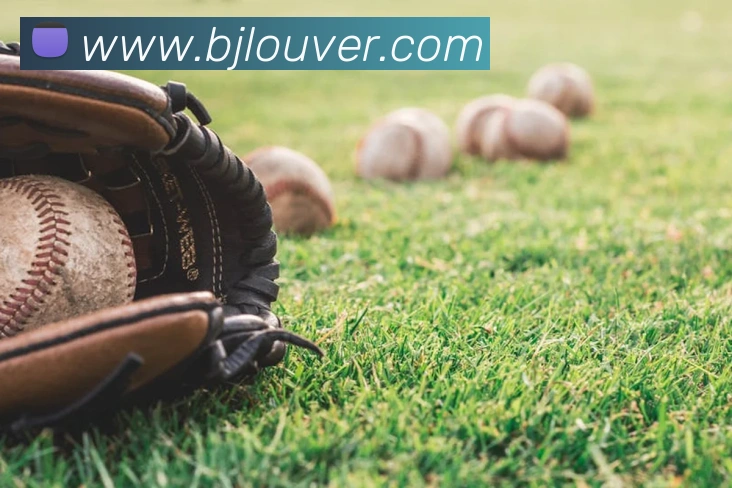 百家乐网站平台生态图